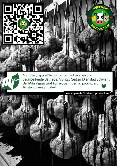 WhatsApp Image 2025-08-06 at 16.46.07 (1)