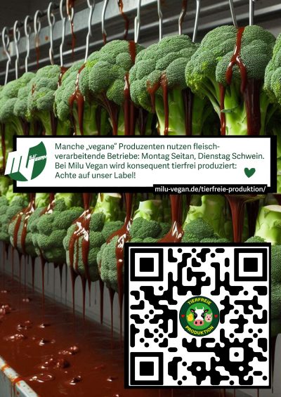 WhatsApp Image 2025-08-06 at 16.46.07